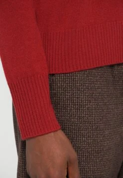FIONDA - Jumper - Rosso Bacca -The LBD Shop 0c9edd6b975e40d0941a9f29cdff5317