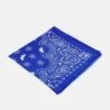 Bandana - Foulard - Bluette
